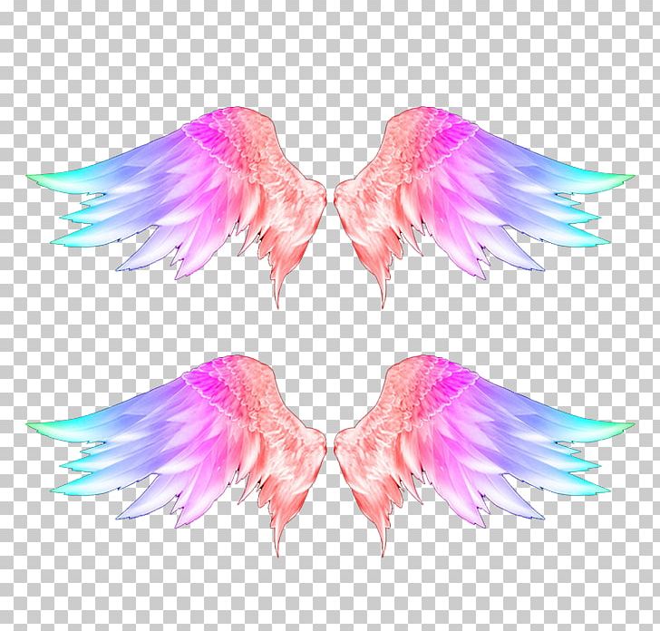 Wings Feather PNG, Clipart, Angel, Angel Wings, Color, Color Pencil, Colors Free PNG Download
