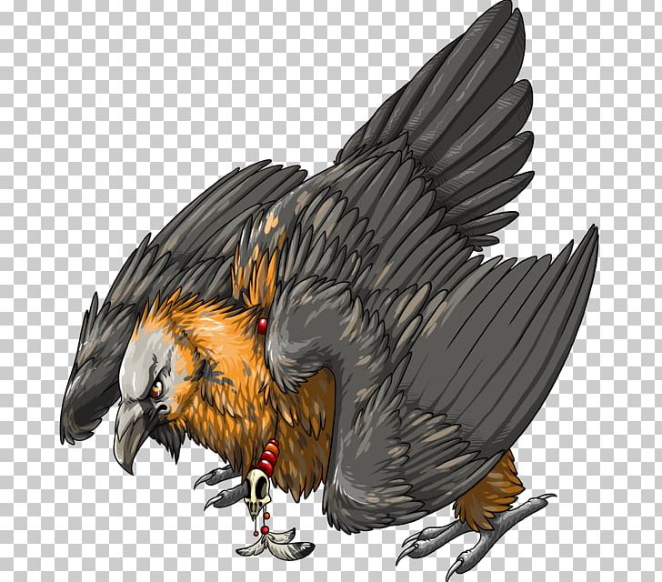 Bearded Vulture Art Drawing Eagle PNG, Clipart, Animals, Art, Arts, Beak, Bearded Vulture Free PNG Download