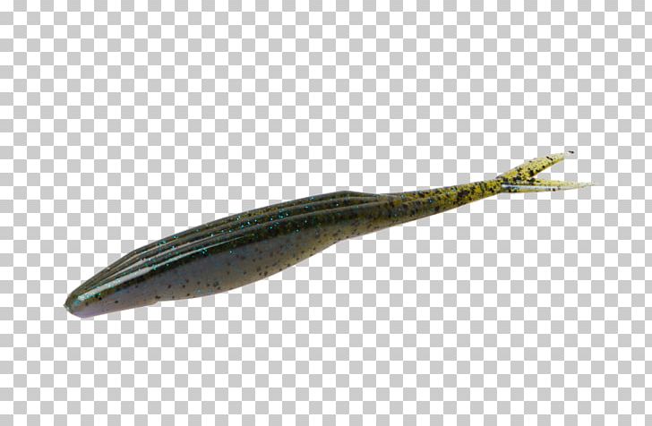 Fish PNG, Clipart, Bait, Fish, Fluke, Others, Stick Free PNG Download