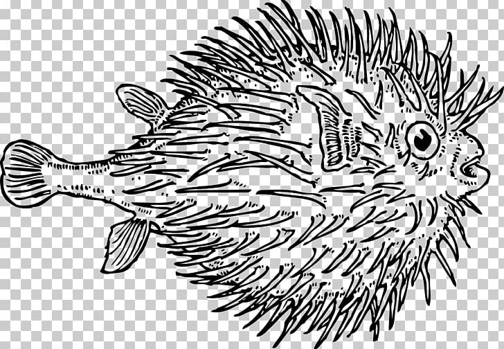 Pufferfish Drawing PNG, Clipart, Animal, Art, Artwork, Beak, Black And White Free PNG Download