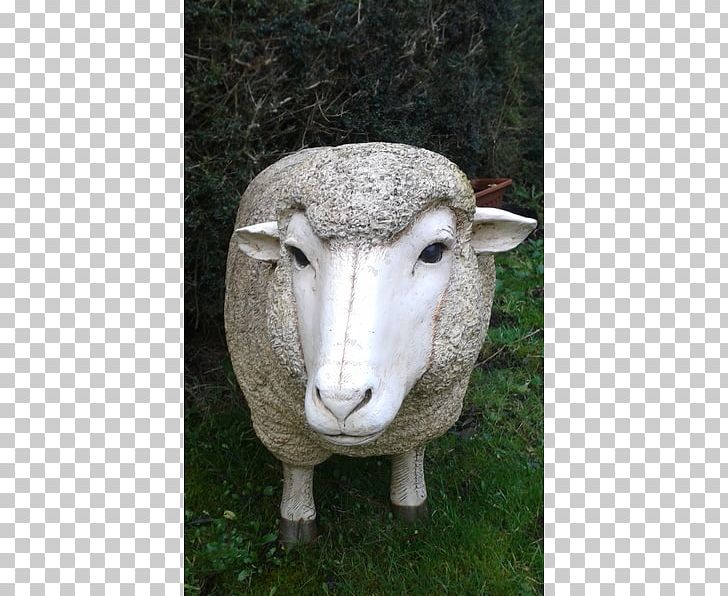 Sheep Statue Snout PNG, Clipart, Animals, Cow Goat Family, Goat Antelope, Grass, Horn Free PNG Download