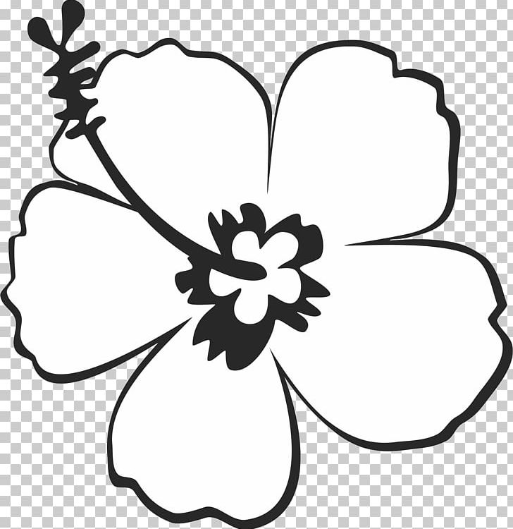 Shoeblackplant Drawing Flower PNG, Clipart, Artwork, Black, Black And White, Cut Flowers, Drawing Free PNG Download
