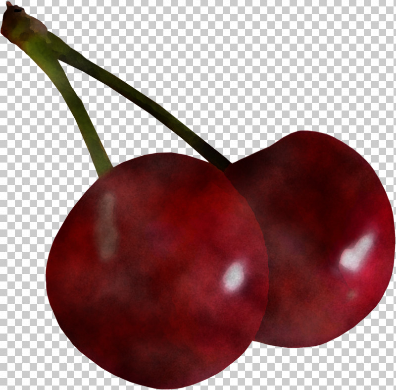 Cherry European Plum Fruit Red Plant PNG, Clipart, Black Cherry, Cherry, Drupe, European Plum, Food Free PNG Download