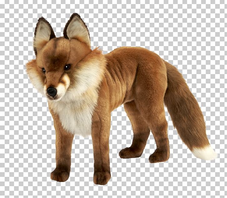 Red Fox Dhole Dog Snout PNG, Clipart, Animal, Animals, Breed, Carnivoran, Catalog Free PNG Download
