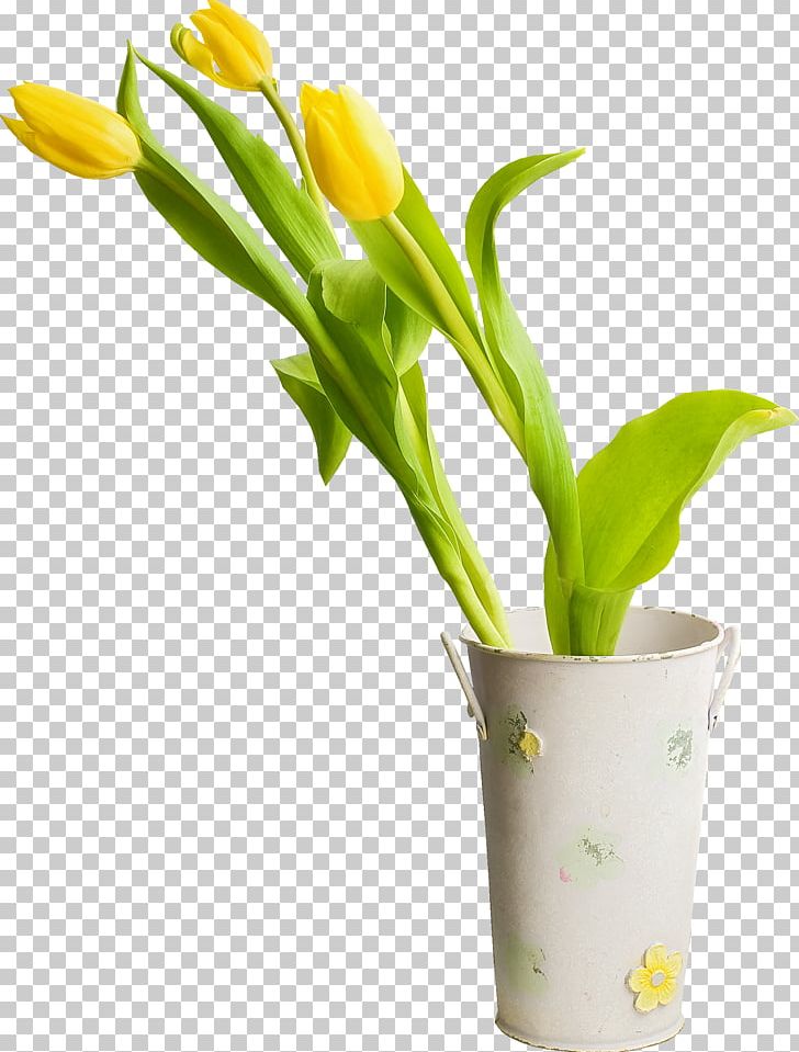 Cut Flowers Tulip Plant PNG, Clipart, Cut Flowers, Floral Design, Floristry, Flower, Flowering Plant Free PNG Download