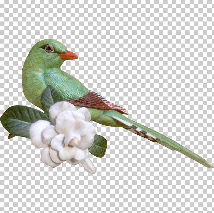 Figurine Bird The Franklin Mint Feather Beak PNG, Clipart, Beak, Bird, Common Pet Parakeet, Crystal, Cuckoos Free PNG Download