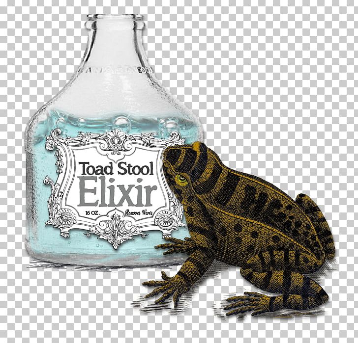 Frog Glass Bottle Reptile PNG, Clipart, Amphibian, Animals, Bottle, Elixir, Frog Free PNG Download