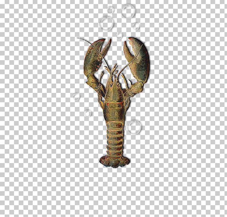 Lobster Crab Child Printing Malacostracans PNG, Clipart, Ageing, American Lobster, Arthropod, Bib, Boy Free PNG Download