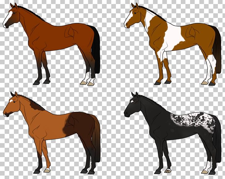 Mustang Foal Mare Stallion Bridle PNG, Clipart,  Free PNG Download