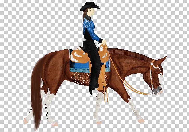 Western Pleasure Stallion Rein Mustang Hunt Seat PNG, Clipart, Animal Sports, Cowboy, Equestrianism, Equestrian Sport, Fil Free PNG Download