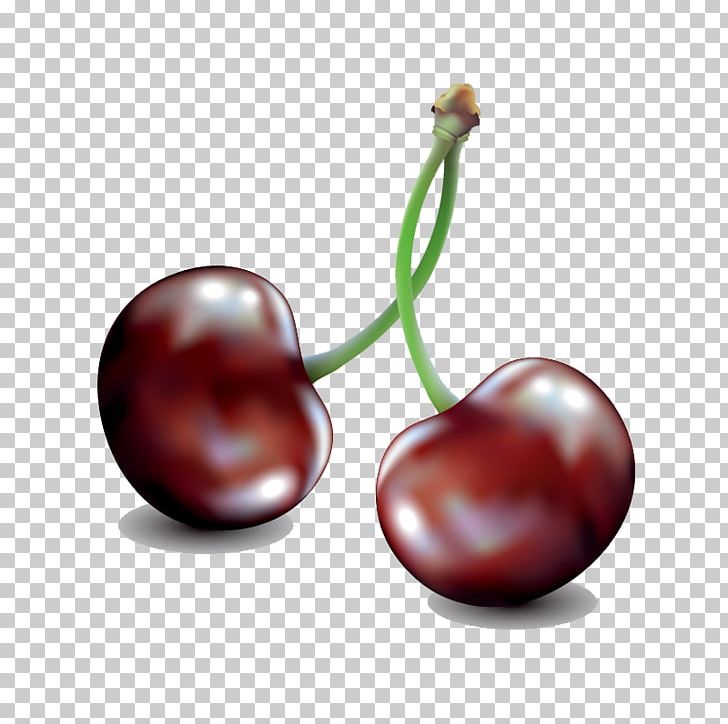 Cherry Drawing Illustration PNG, Clipart, Cartoon Cherry, Cherry, Crystal Vector, Encapsulated Postscript, Food Free PNG Download