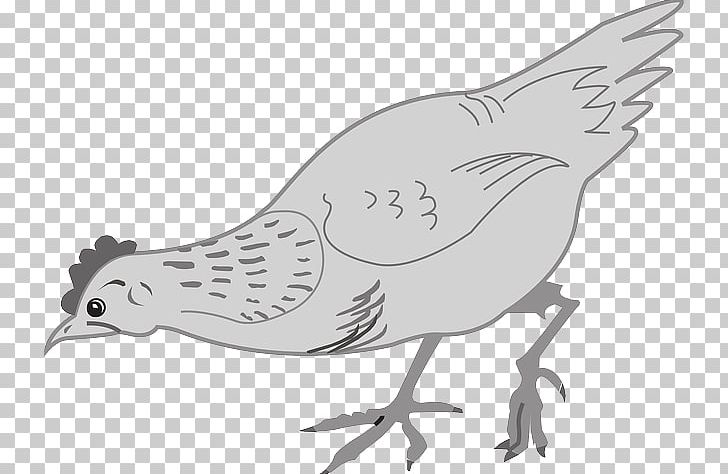 Chicken Hen Poultry Eating PNG, Clipart, Art, Artwork, Beak, Bird, Black And White Free PNG Download