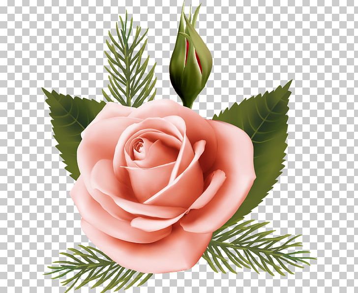 Garden Roses Cabbage Rose Pink Floral Design Cut Flowers PNG, Clipart, Art, Beach Rose, Floristry, Flower, Flowering Plant Free PNG Download