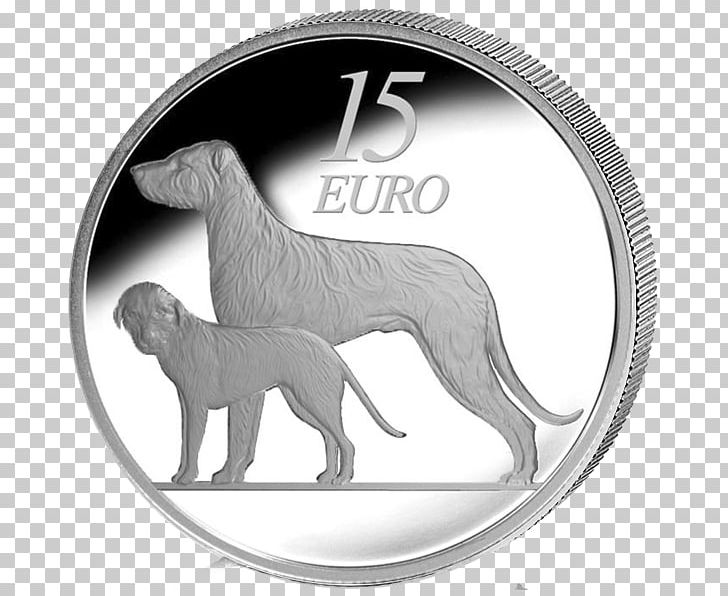 Ireland Euro Coins Dog Breed Retriever PNG, Clipart, Animal, Black And White, Carnivoran, Coin, Dog Free PNG Download
