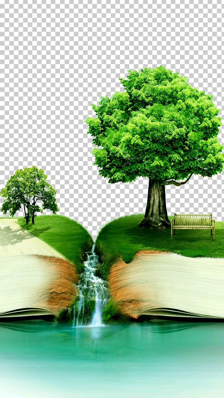 The Design Of Everyday Things World Book Day Reading National Book Day PNG, Clipart, Author, Bibliografia, Bonsai, Branch, Child Free PNG Download