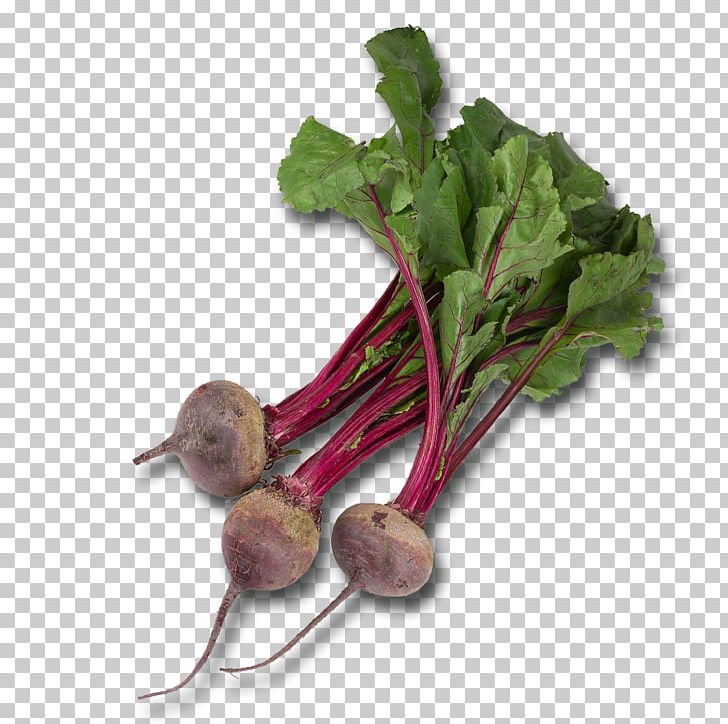 Vegetable Beetroot Chard Food Common Beet PNG, Clipart, 750g, Beet, Beetroot, Celeriac, Chard Free PNG Download