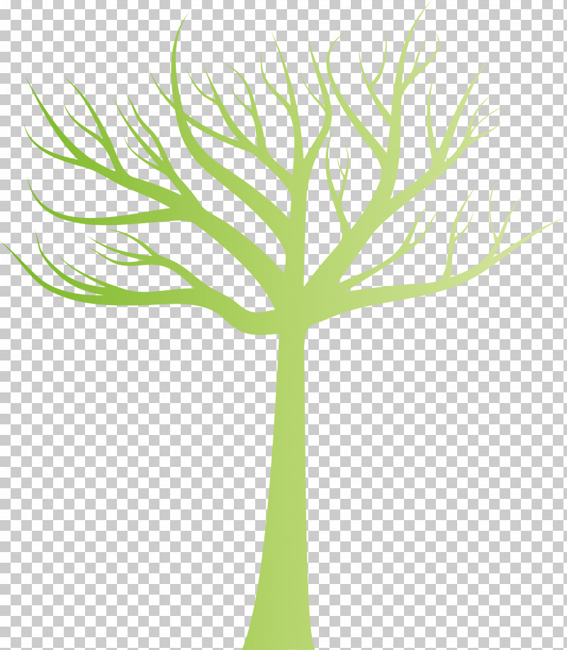 Green Leaf Tree Plant Plant Stem PNG, Clipart, Branch, Flower, Grass, Grass Family, Green Free PNG Download