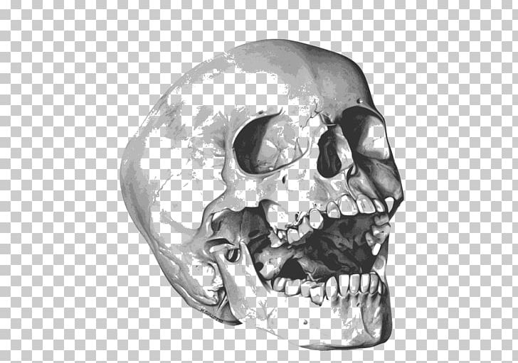 Calavera Skull PNG, Clipart, Black And White, Bone, Calavera, Computer Icons, Encapsulated Postscript Free PNG Download