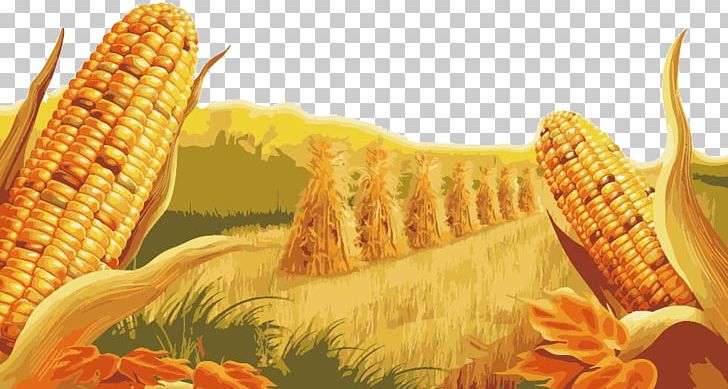 Candy Corn Maize High-definition Television Display Resolution PNG, Clipart, 4k Resolution, Africa Map, Corn, Cuisine, Food Free PNG Download