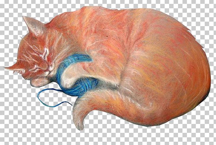 Cat Megabyte PNG, Clipart, Animals, Bobbin, Carnivora, Carnivoran, Cat Free PNG Download