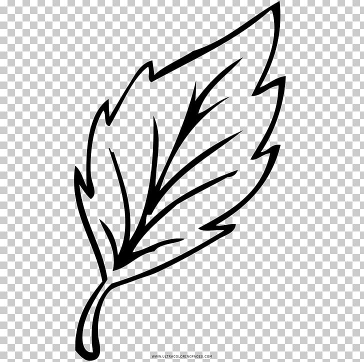 Drawing Coloring Book Black And White Leaf Line Art PNG, Clipart, Artwork, Black And White, Branch, Chalk, Character Free PNG Download