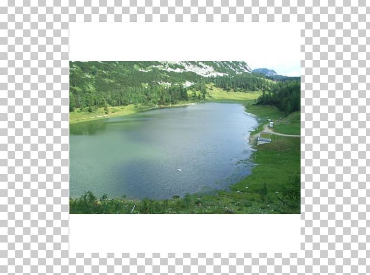 Wetland Nature Reserve Pond Water Resources Biome PNG, Clipart, Bank, Biome, Ecosystem, Floodplain, Grass Free PNG Download