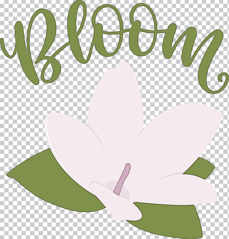 Bloom Spring Flower PNG, Clipart, Bloom, Floral Design, Flower, Leaf, Lilac M Free PNG Download