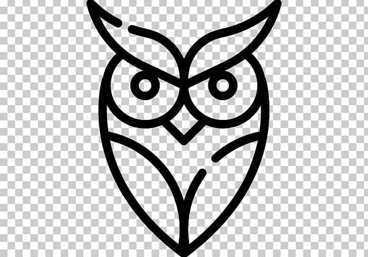 Owl Beak Bird Of Prey Vertebrate PNG, Clipart, Aerials, Animals, Beak, Bird, Bird Of Prey Free PNG Download