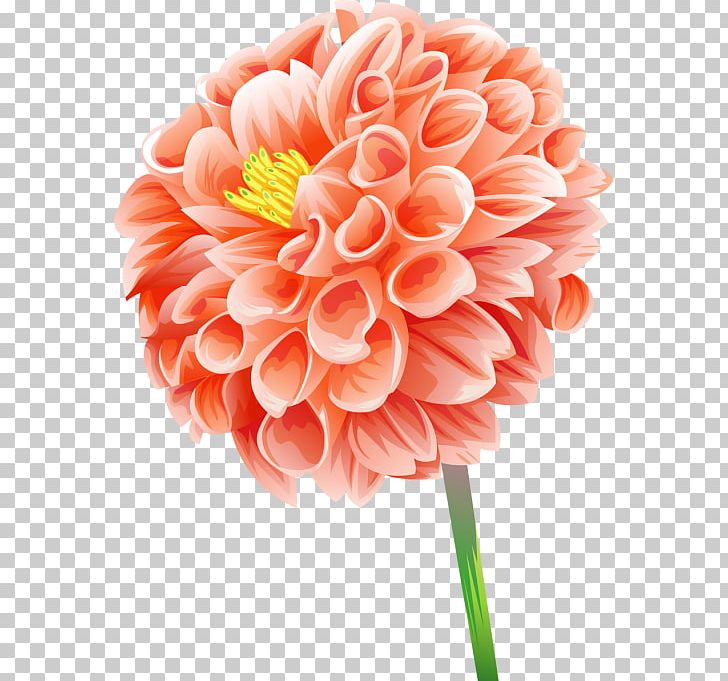 Wall Decal Sticker PNG, Clipart, Collection, Color, Cut Flowers, Dahlia, Daisy Family Free PNG Download