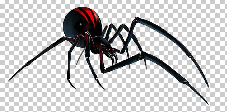 Spider Southern Black Widow Portable Network Graphics PNG, Clipart, Arachnid, Arthropod, Black, Black Widow, Black Widow Spider Free PNG Download
