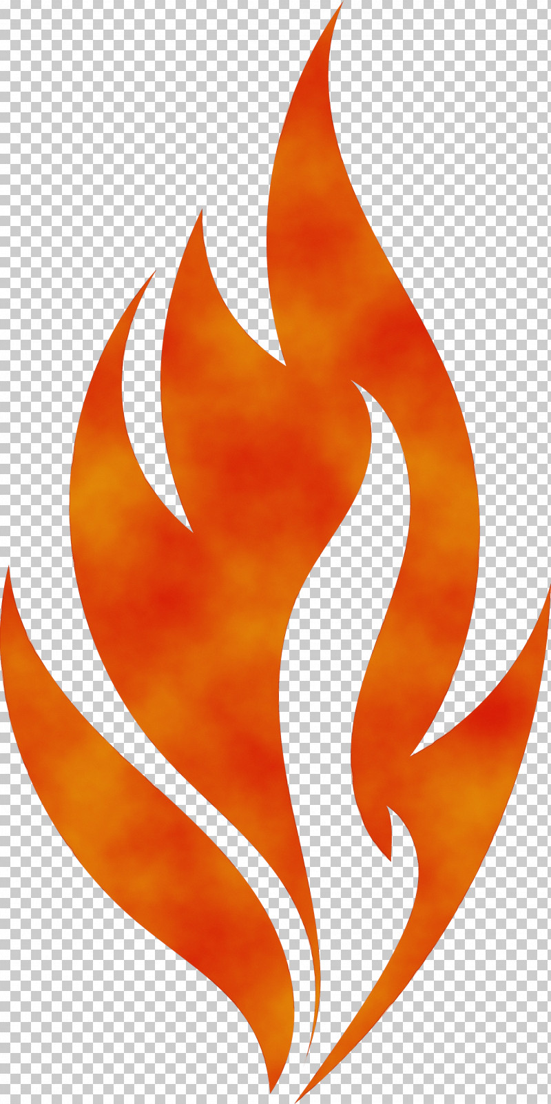 Leaf Flame Font Line Meter PNG, Clipart, Biology, Fire, Flame, Leaf, Line Free PNG Download