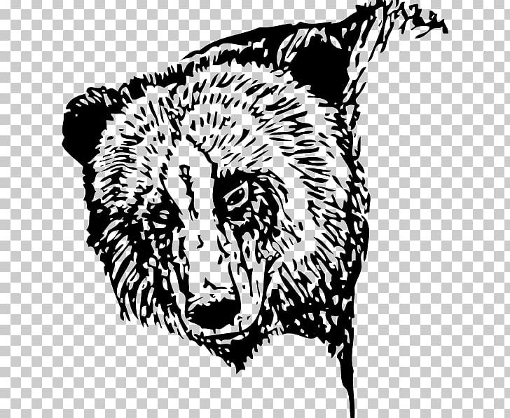 American Black Bear Brown Bear PNG, Clipart, Animals, Bear, Big Cats, Black, Black And White Free PNG Download