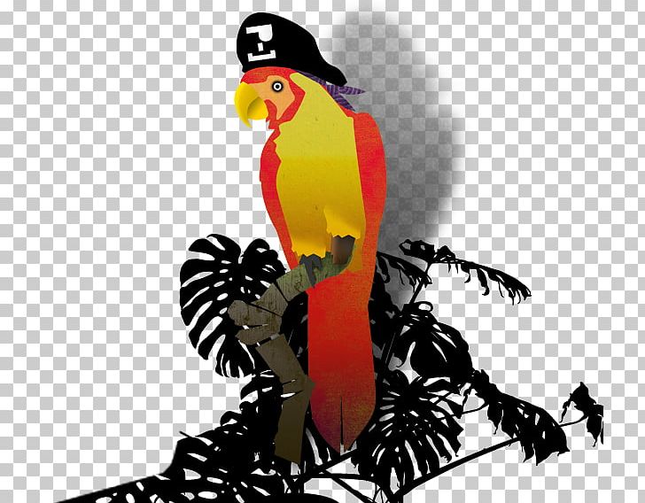 Looting Piracy Bird Parrot Toucan PNG, Clipart, Animal, Animals, Beak, Bird, Chicken Free PNG Download