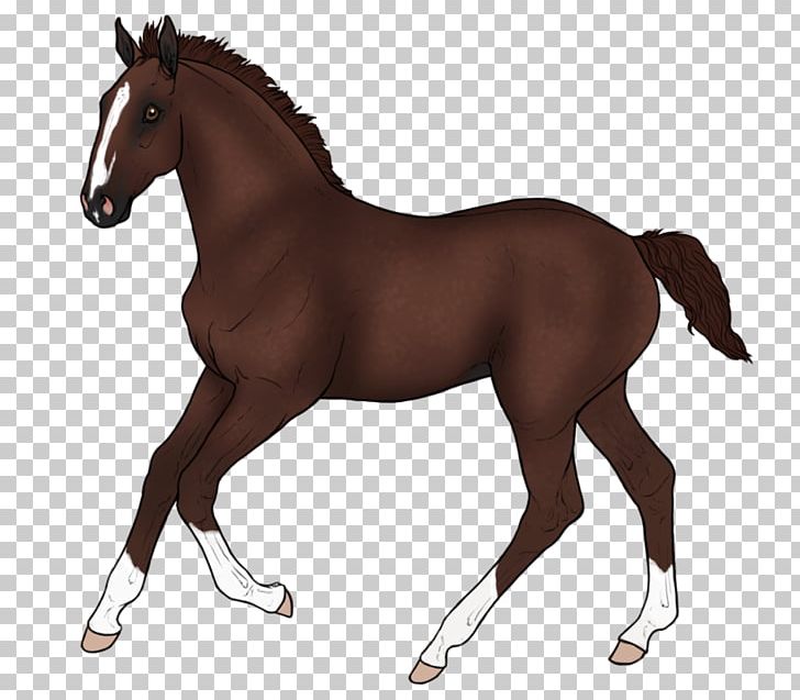 Mustang Foal Stallion Mare Rein PNG, Clipart, Animal Figure, Bink, Bridle, Colt, English Riding Free PNG Download