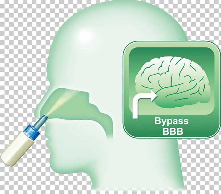 Nose Brain Nasal Administration Olfaction Mucous Membrane PNG, Clipart,  Free PNG Download