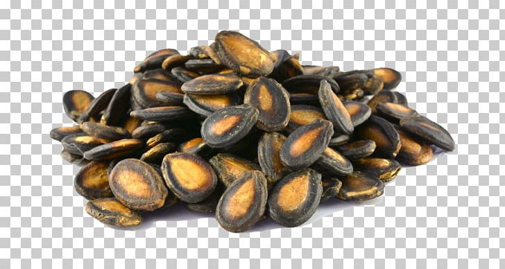 Watermelon Seed Dried Fruit Cashew Food PNG, Clipart, Almond, Away, Cashew, Commodity, Dried Fruit Free PNG Download