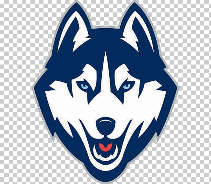 Connecticut Huskies Women's Basketball University Of Connecticut Connecticut Huskies Men's Ice Hockey Connecticut Huskies Football NCAA Men's Division I Basketball Tournament PNG, Clipart,  Free PNG Download