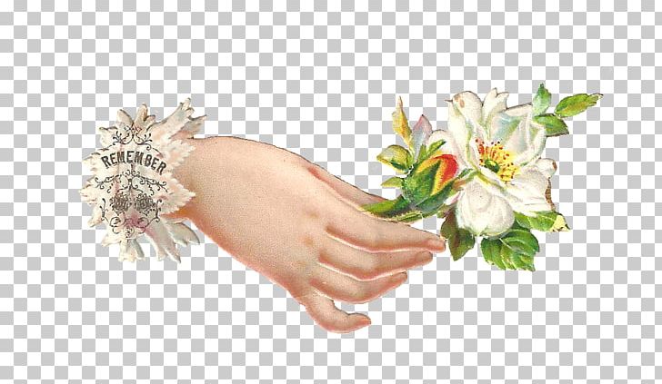 Cut Flowers Floral Design PNG, Clipart, Cut Flowers, Desktop Wallpaper, Drawing, Finger, Flora Free PNG Download