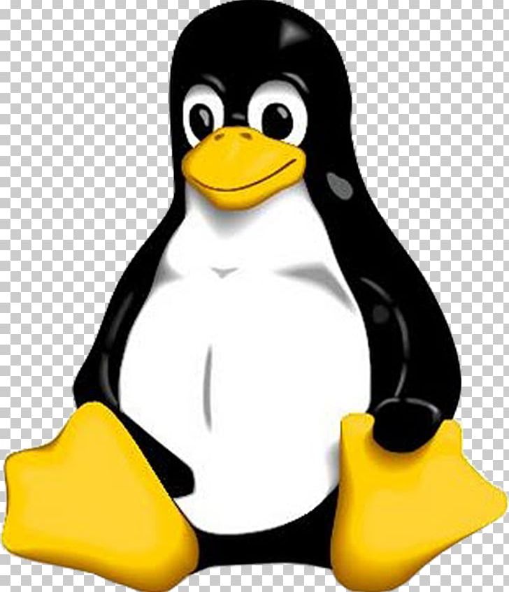 GNU/Linux Naming Controversy Tux PNG, Clipart, Arch Linux, Baby Penguin, Beak, Bird, Computer Software Free PNG Download