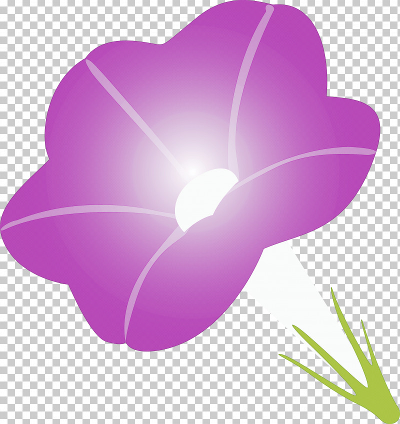 Morning Glory Flower PNG, Clipart, Crocus, Flower, Heart, Herbaceous Plant, Magenta Free PNG Download