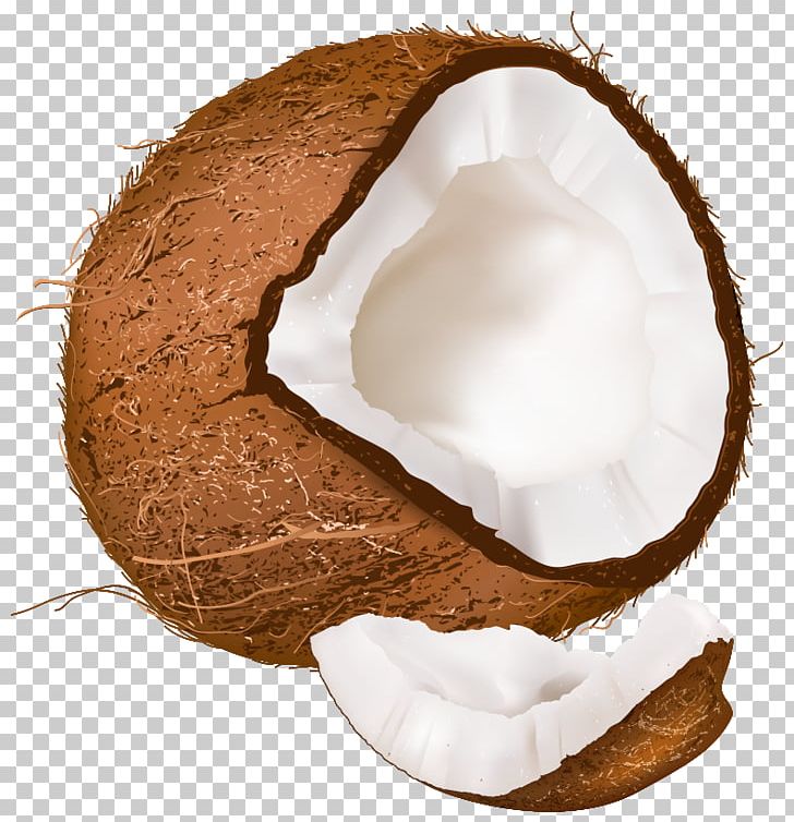 Coconut Water Toto PNG, Clipart, Clip Art, Coconut, Coconut Milk, Coconut Water, Computer Icons Free PNG Download