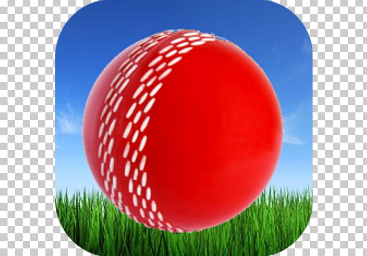 Cricket Balls Gray-Nicolls Batting PNG, Clipart,  Free PNG Download