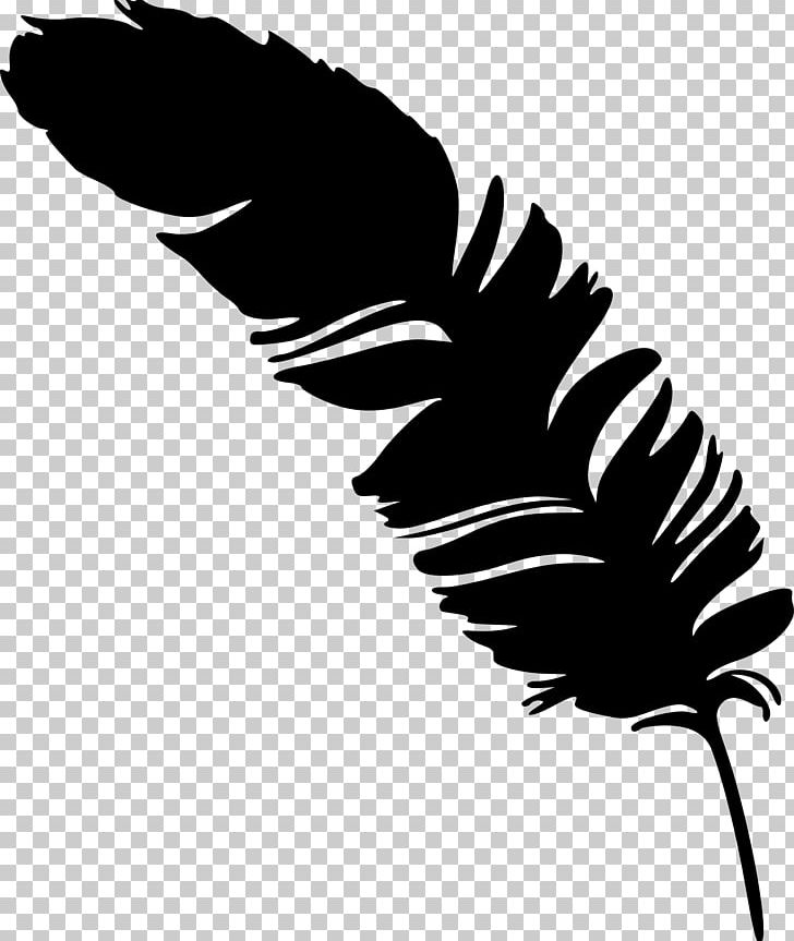 Feather Silhouette Photography PNG, Clipart, Animals, Artwork, Beak, Black, Black And White Free PNG Download
