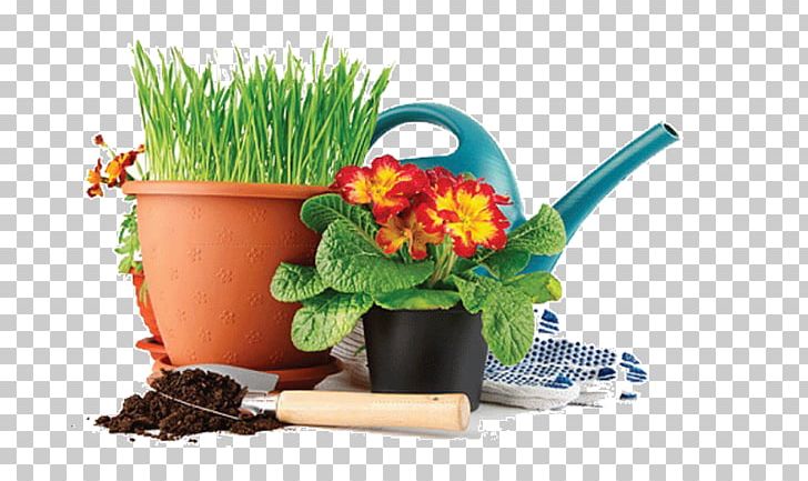 Houseplant Guzmania Hyacinth Flower PNG, Clipart, Achimenes, Bromelia, Bromeliads, Flora, Flower Free PNG Download