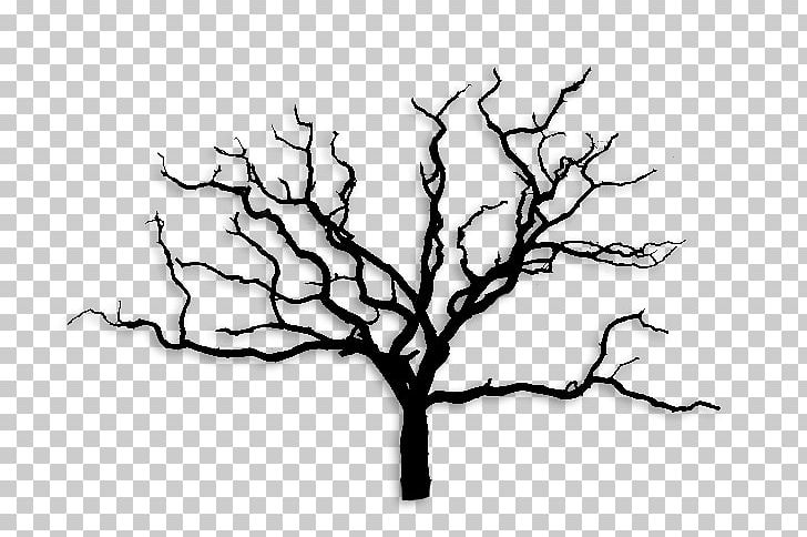Tree Wall Decal Branch PNG, Clipart, Arbre, Artwork, Black And White, Branch, Coloriage Free PNG Download