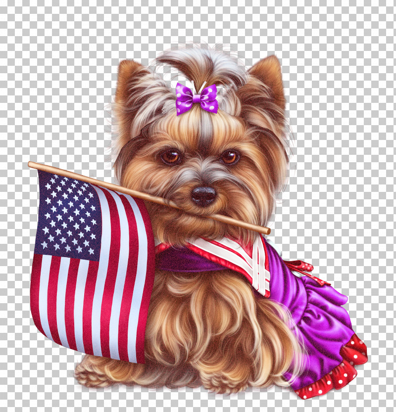 Yorkshire Terrier Silky Terrier Puppy Snout Companion Dog PNG, Clipart, Breed, Clothing, Companion Dog, Dog, Dog Clothes Free PNG Download