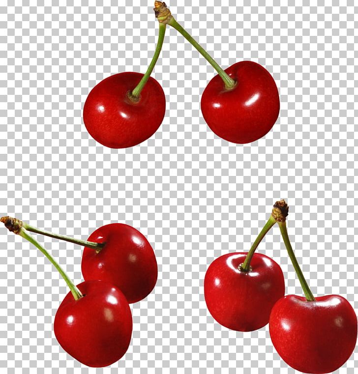 Cherry Cerasus Berry PNG, Clipart, Accessory Fruit, Acerola, Acerola Family, Berry, Cerasus Free PNG Download