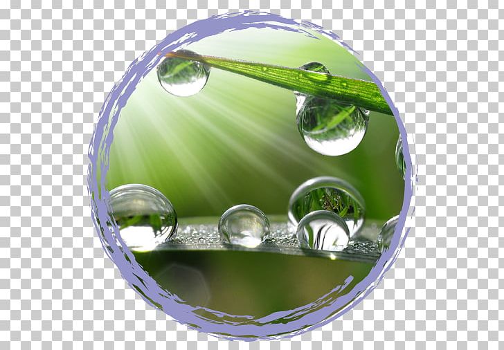 Conciencia Ecológica Y Bienestar En La Infancia : Efectos De La Relación Con La Naturaleza Stock Photography Water Cohesion PNG, Clipart, Capillary Action, Circle, Cohesion, Drop, Liquid Free PNG Download