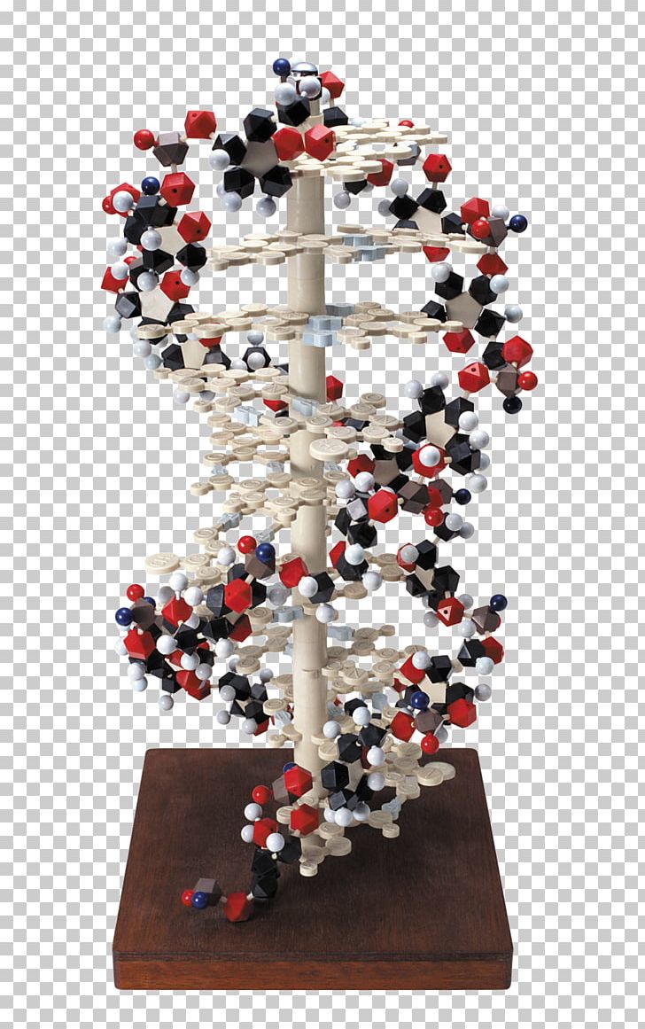 Research Institute Biomedical Research Science Company PNG, Clipart, Biology, Black, Black And Red, Celebrities, Chain Free PNG Download