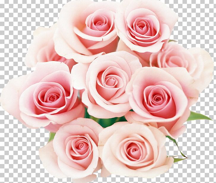 Rose Pink Desktop Flower PNG, Clipart, Artificial Flower, Cut Flowers, Drawing, Floral Design, Floribunda Free PNG Download
